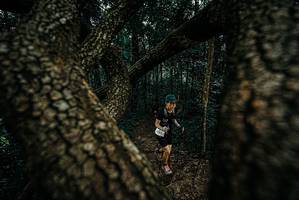 BIB: 
                            <button type="button" onclick="openModal(25680153)" class="btn btn-primary btn-sm float-right btn-popup" data-toggle="modal" data-target=".modal-high-quality">
                        <i class="fas fa-shopping-cart"></i> Add to Cart
                    </button>
                                            <button type="button" onclick="isThisMe(25680153, true)" class="btn btn-success btn-sm float-right btn-popup btn-isme hidden" data-toggle="tooltip" data-placement="bottom" title="นี่คือรูปของคุณใช่ไหม คลิกที่นี่เพื่อเอาเข้าอัลบั้ม">
                        <i class="fas fa-plus"></i> Add to album
                    </button>
                    <button type="button" onclick="isThisMe(25680153, false)" class="btn btn-warning btn-sm float-right btn-popup btn-isnotme hidden">
                        <i class="fas fa-ban"></i> Remove from album
                    </button>